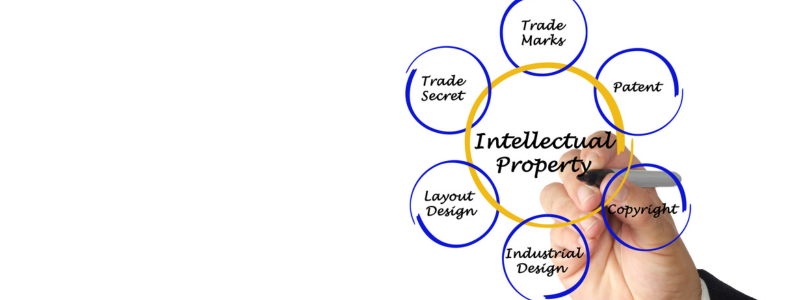 What Does Intellectual Property Refer to?